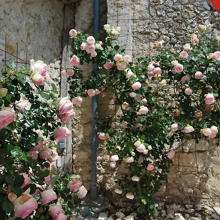 La Romantique Maison d'hôtes Monbazillac